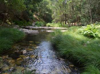 Tocht Te voet Montaria - Trilho do Pôr-do-Sol - Photo