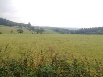 Percorso Equitazione Stavelot - Equirencontre Manu 2024 - Etape 16 - Francorchamps - Waimes - Photo