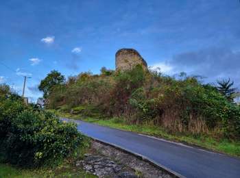 Trail Walking Wanze - Moha 241023 - Photo