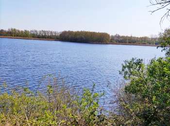 Trail Walking Bernissart - Les Marais d’Harchies  - Photo