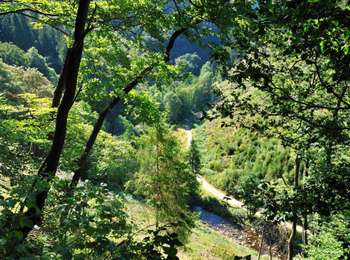 Percorso Marcia Malmedy - au départ de l'auberge vers Xhoffraix - Photo