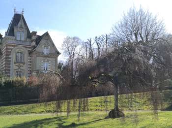 Percorso Bici ibrida Bagnoles-de-l'Orne-Normandie - bagnoles de l'ore - Photo