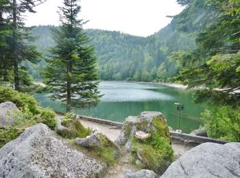 Randonnée Marche La Bresse - SityTrail - Le Lac des Corbeaux - La Bresse - Photo