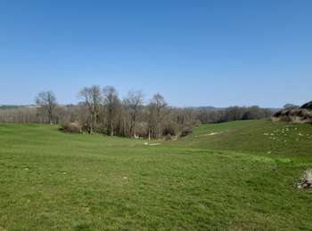 Excursión Senderismo Comblain-au-Pont - rando boucle prov Liège 11 GR pont sçay . oneux . chambranle.  septroux . martinrive . rouvreux . presseux .fraitures . rivage.  pont de sçay  - Photo