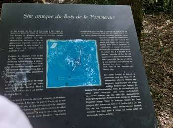 Trail Walking Villers-Farlay - Villers Farlay 13km 20210617 - Photo