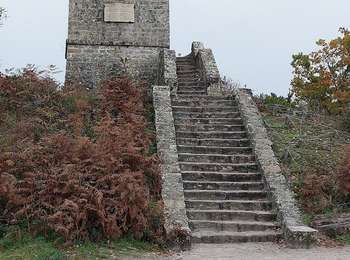 Tour Wandern Fontainebleau - Croix de Toulouse #8 Var2 - Photo