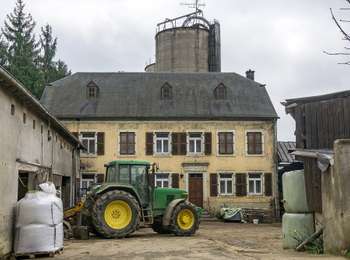 Tocht Te voet Fischbach - Fleche Bleu Fischbach II - Photo
