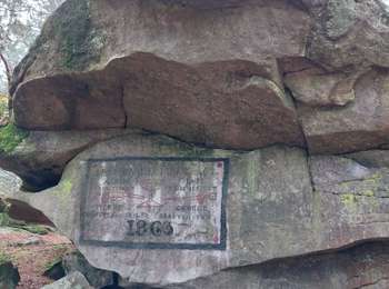 Tour Wandern Fontainebleau - 2026-02-01_11h40m51_rocher_de_bouligny_court-23285425-1769942440-281 - Photo