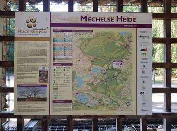 Tocht Stappen Maasmechelen - Mechelse Heide  - Photo
