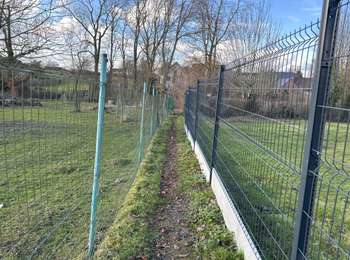 Trail Walking Quévy - Quevy 12,9 km - Photo