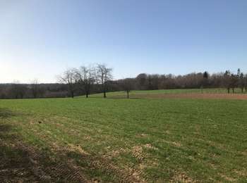 Trail Horseback riding Fougerolles-Saint-Valbert - Balade 1h vers chez le poix - Photo