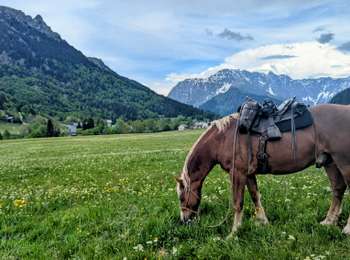 Trail Horseback riding Valbonnais - 2025-05-31 Rando CVA Valbonnais vers La Morte - Photo