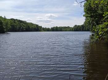 Trail Walking La Voivre - 24-05-25 : reco Annegray - plate Pierre GTME - Photo