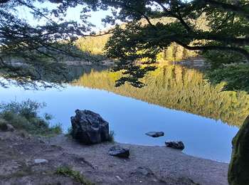 Randonnée Marche La Bresse - VOSGES 2023 - Jour 1 - Le Lac aux Corbeaux - Photo