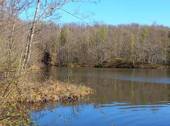 Trail Walking Faucogney-et-la-Mer - Faucogney mille etangs 2025 - Photo