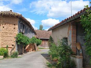 Tour Wandern Nègrepelisse - Le long de l'Aveyron  - Photo