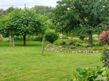 Trail Walking Nailly - Nailly 240629 - Photo