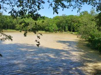 Trail Walking Toucy - Toucy (Les Avenières) 230529 10 km - Photo