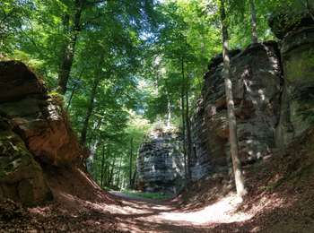 Percorso Marcia Berdorf - Berdorf - B2 - Müllerthal - Photo