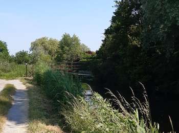 Tour Wandern Clairmarais - Clairmarais - Photo