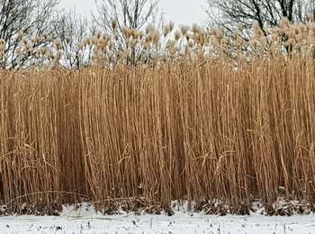 Trail Walking Tinlot - Marche ADEPS Ramelot - Photo