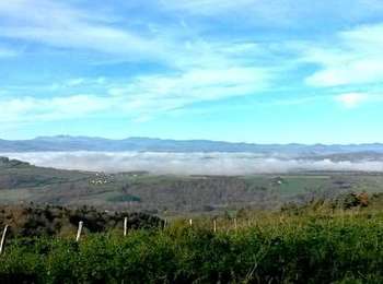 Percorso Marcia Sauxillanges - Sauxillanges_Ventre - Photo