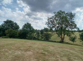 Trail Walking Fléron - F15 Fléron Fond du Pucet  - Photo