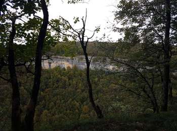 Tour Wandern Bonlieu - Cascades du Hérisson - Photo