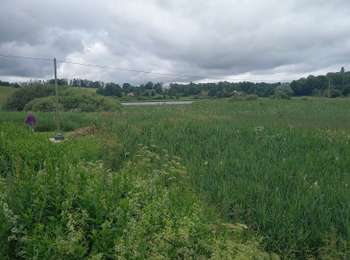 Trail Walking Les Planches-en-Montagne - Gorges Langouette et Malvaux 12.7.24 - Photo