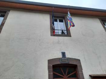 Trail Walking Servance-Miellin - vosges 2025 - miellein - Photo