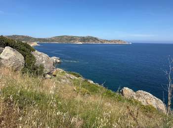 Trail Walking Calvi - Calvi : Pointe de revellata - Photo