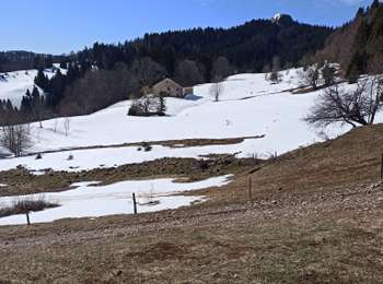 Trail Walking La Pesse - 05-04-26 : la Pesse - Cret de Chalam - Photo