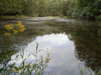 Trail On foot Spa - SPA 03 - Princess Clementine (Red Rectangle) - Photo