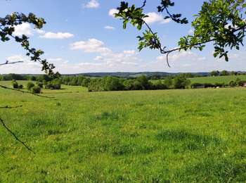Excursión Bici de montaña Trooz - Par la Turlurette - Photo