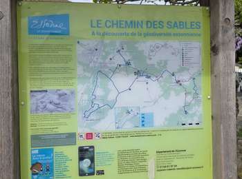 Tour Wandern Boissy-le-Cutté - Boissy-le-Cutté - Boucle des ravelins - Photo