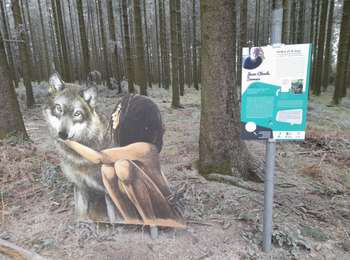 Trail Walking Libramont-Chevigny - Marche ADEPS 10 KM à  Libramont  - Photo