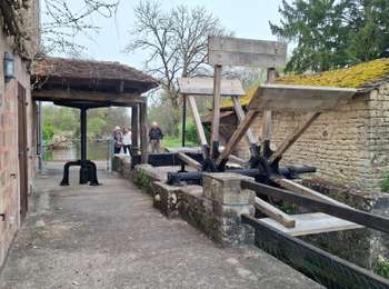 Trail Walking Bassigney - Bassigney - Photo