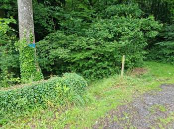 Tour Wandern Limerzel - Limerzel - Sentier du Sillon - Photo