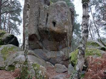 Tour Wandern Fontainebleau - Rocher Cassepot  - Photo