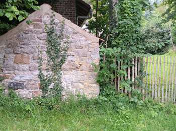 Trail Walking Burdinne - marche adeps Burdinne  - Photo