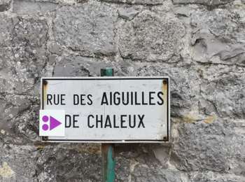 Tocht Stappen Dinant - FURFFOZ ... les Aiguilles de Chaleux et la Réserve  naturelle. - Photo