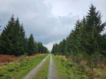 Tour Wandern Baelen - Hestreux - La vallée de la Soor - Photo