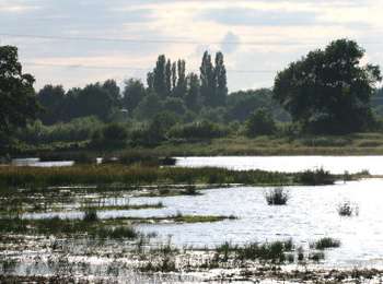 Tour Zu Fuß Nuenen c.a. - Blauw - Photo