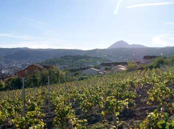 Percorso Marcia La Sauvetat - Veyre_Gagne_Vin - Photo