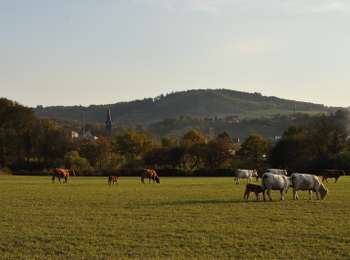 Percorso A piedi Manzat - Aux Sources de la Morge - Photo