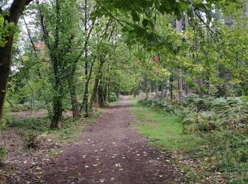 Excursión Bici de montaña Trooz - Sortie vélo le matin - Photo