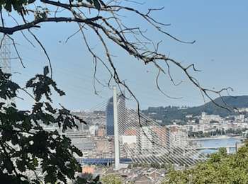 Trail Walking Liège - angleur . bois st Jacques . sart tilman . bois st laurent . angleur  - Photo