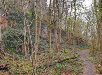 Trail Walking Thuin - Balade à l'abbaye d'Aulne - Photo