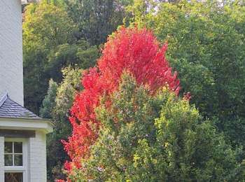 Percorso Marcia Huy - Huy  les vallons de la soliere - Photo