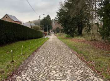 Tour Wandern Fernelmont - Franc Waret - Photo